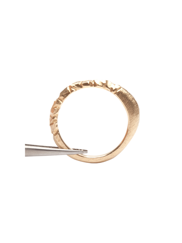 Traverse Band